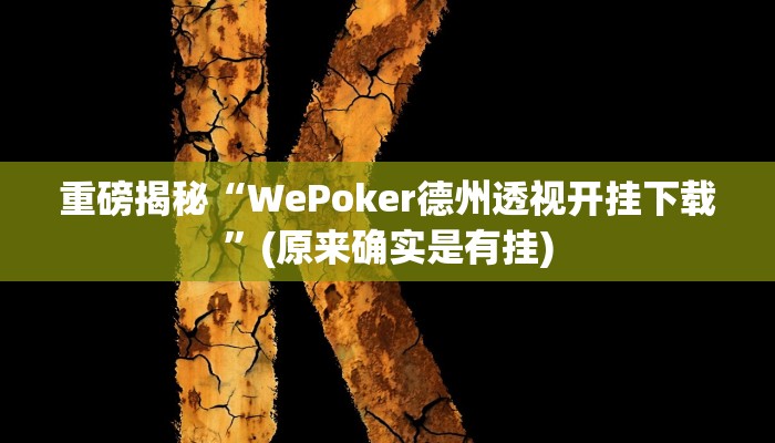 实测辅助”吉祥填大坑透视软件”(详细开挂教程)