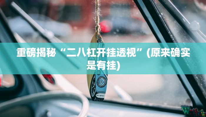 实测辅助”德扑之星透视挂辅助”(详细开挂教程)