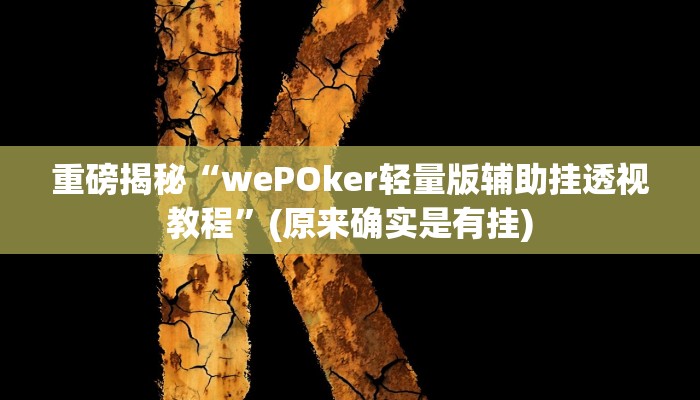 实测辅助”微乐斗地主记牌器”(详细开挂教程)