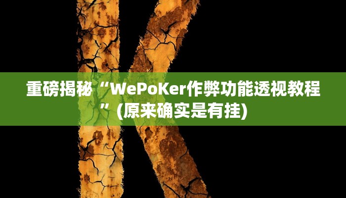 实测辅助”[德扑之星]开挂透视教程”(详细开挂教程)