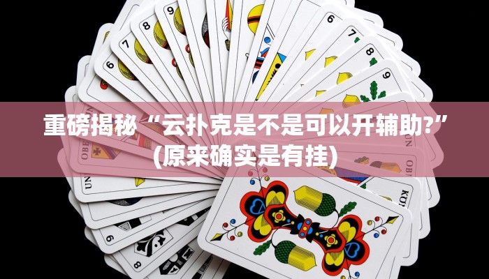 辅助神器“广西跑胡子透视挂”其实确实有挂