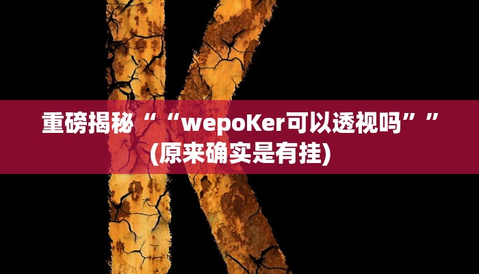 实测辅助”wepoKer辅助挂”(详细开挂教程)