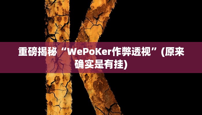 教程辅助“wepokerplus透视挂辅助教程(透视)!详细教程透视方法