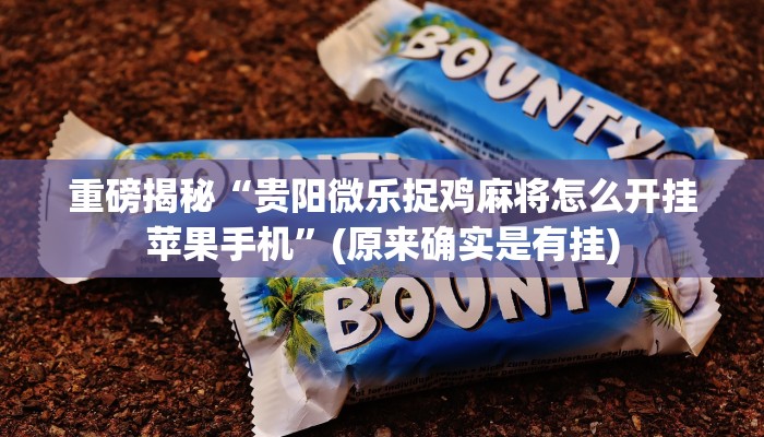 教程辅助“曦梦奇缘这个可以开挂吗(透视)!详细教程透视方法
