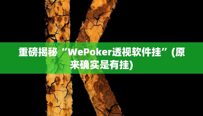 实测辅助”德扑之星透视真的吗”(详细开挂教程)