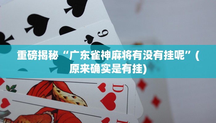实测辅助”莫莫棋牌挂怎么安装”(详细开挂教程)