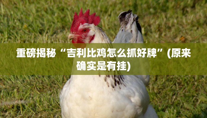 实测辅助”微乐麻将自建房输赢规律”(详细开挂教程)