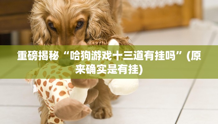 实测辅助”德扑之星辅助开挂”(详细开挂教程)