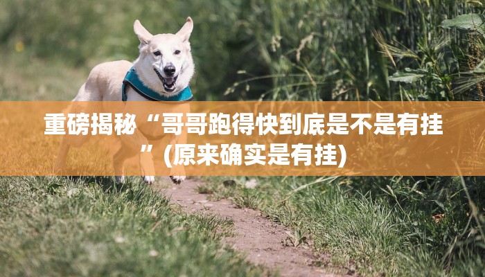 重磅揭秘“德扑之星辅助开挂教程”(原来确实是有挂)