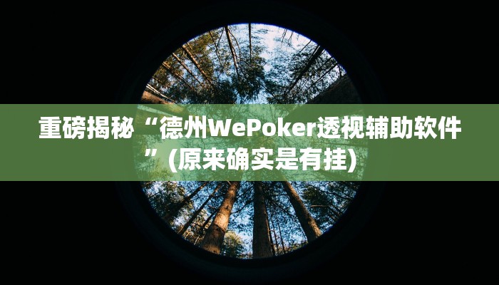实测辅助”微乐宁夏麻将开挂教程”(详细开挂教程)