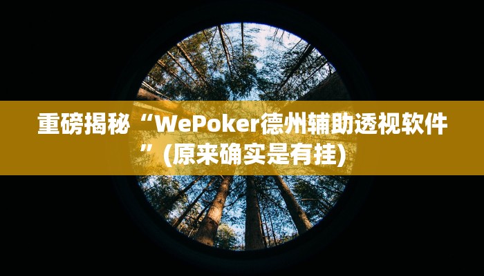实测辅助”wepoker德州透视挂”(详细开挂教程)