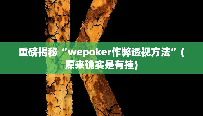 教程辅助“德扑之星辅助透视挂(透视)!详细教程透视方法