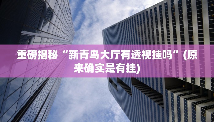 实测辅助”wepoker透视挂是真的假的”(详细开挂教程)