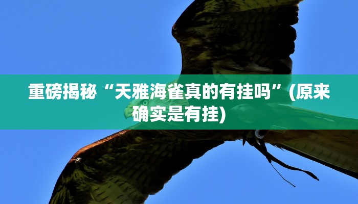实测辅助”陕麻圈麻将输了能赢赢回来不”(详细开挂教程)