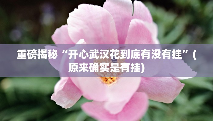 实测辅助”德扑之星辅助工具使用教程”其实确实有挂