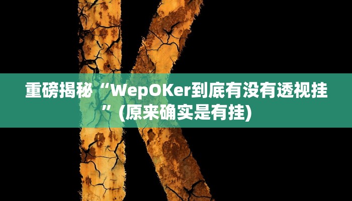 实测辅助”德扑之星辅助下载教程”(详细开挂教程)