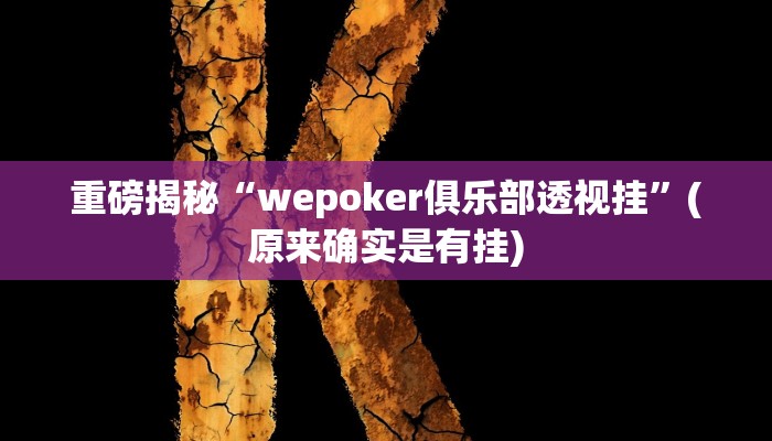 实测辅助”新金龙大厅透视挂”(详细开挂教程)
