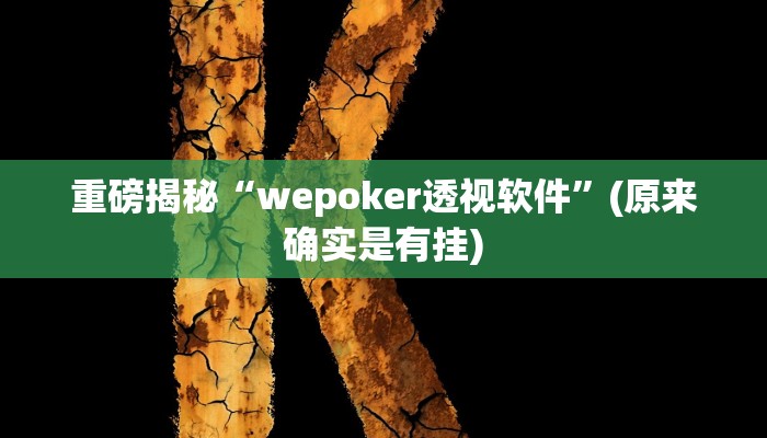 开挂辅助工具“云梦司缘游戏辅助透视”详细开挂教程
