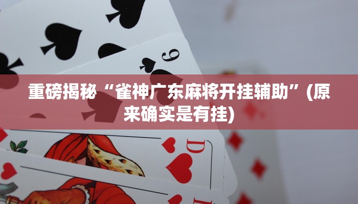 教程辅助“天天重庆麻将外卦神器下载安装(透视)!详细教程透视方法