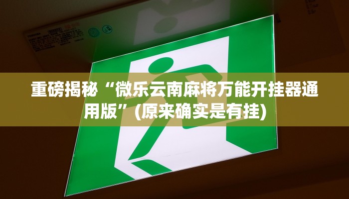 实测辅助”老友麻将开挂神器”(详细开挂教程)