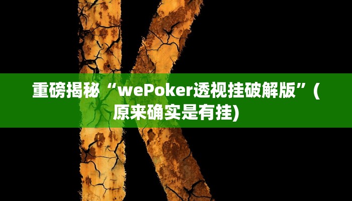 开挂辅助工具“新创游有透视挂吗”其实确实有挂