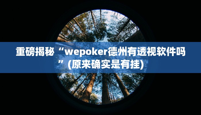 实测辅助”wepoker透视挂作弊下载”(详细开挂教程)