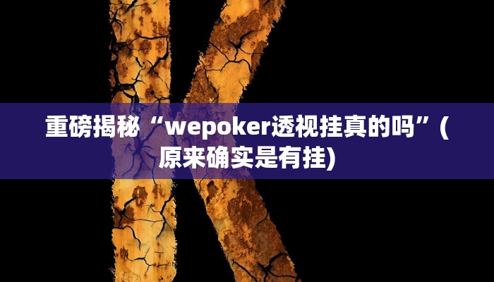 实测辅助”新人皇开挂神器”其实确实有挂