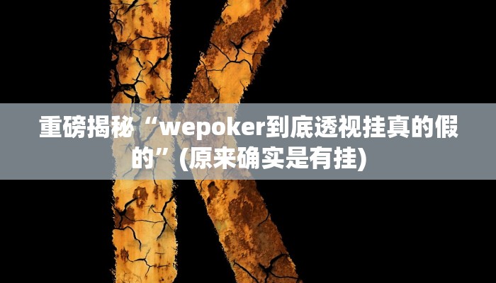 实测辅助”罗松十三张开挂神器”(详细开挂教程)