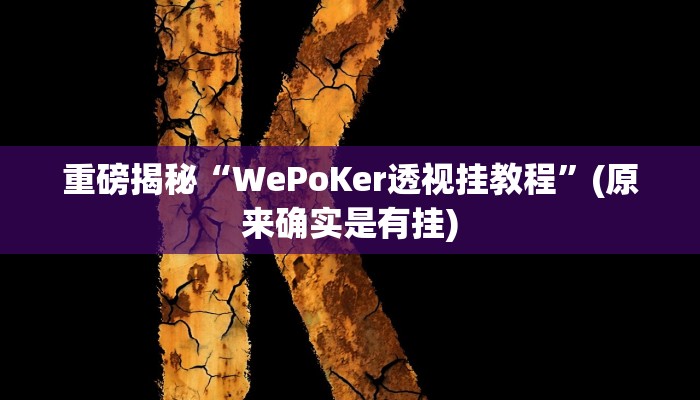 教程辅助“白金岛邵阳字牌朋友桌开挂(透视)!详细教程透视方法