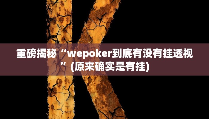 实测辅助”德扑之星app德州透视破解版”(详细开挂教程)