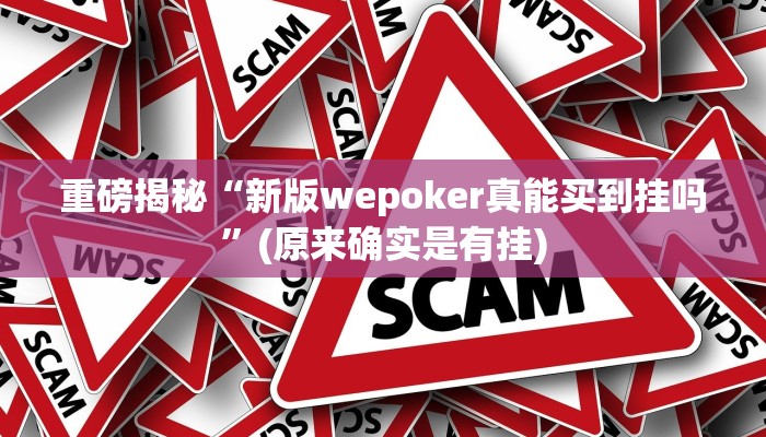 实测辅助”ios版(wepoker)德州透视挂”(详细开挂教程)