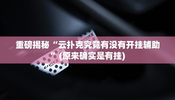 教程辅助“新金龙开挂辅助软件(透视)!详细教程透视方法