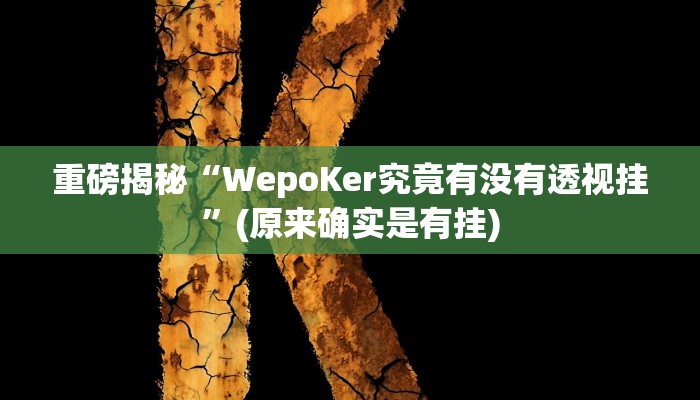 实测辅助”微乐江苏麻将有挂能查出来吗”(详细开挂教程)