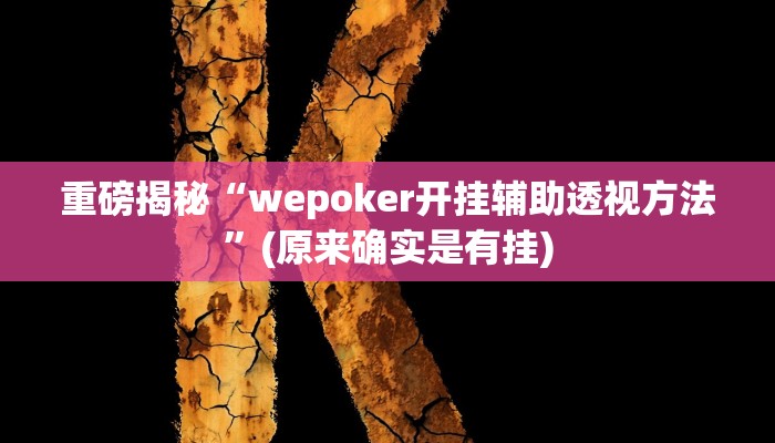 实测辅助”(wepoker)开挂透视教程”(详细开挂教程)