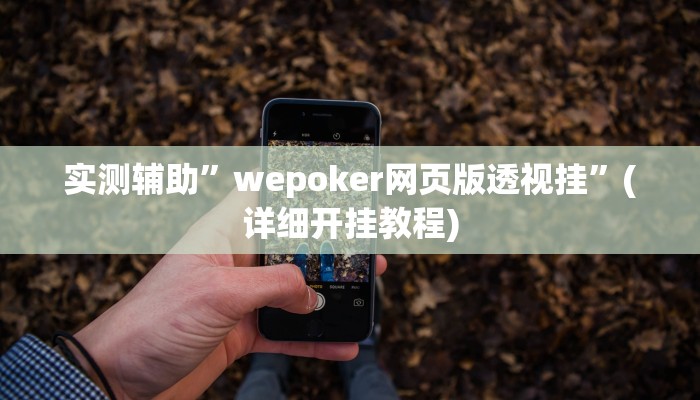 实测辅助”wepoker开挂辅助方法”(详细开挂教程)
