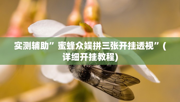 实测辅助”来玩app 德州有辅助挂吗”(详细开挂教程)