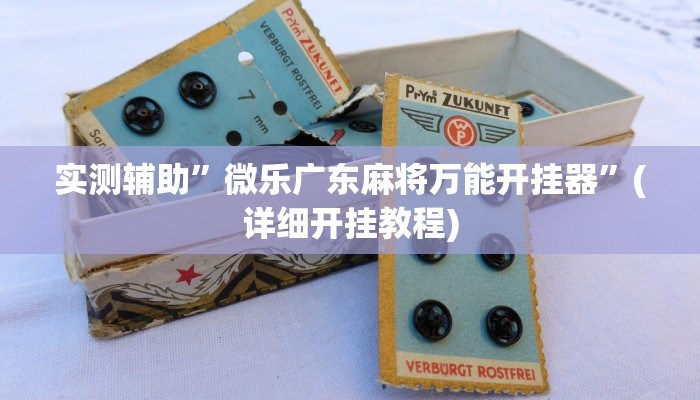 实测辅助”ios版(wepoker)德州透视挂”(详细开挂教程)