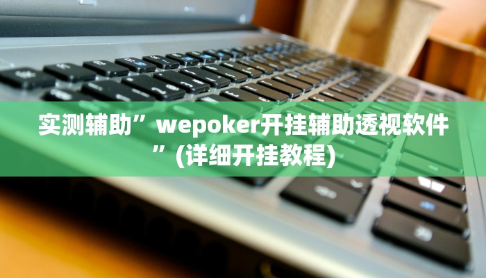 实测辅助”wepokerplus透视辅助挂软件”(详细开挂教程)