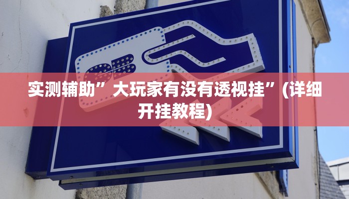 实测辅助”七彩佬腌菜辅助怎么开挂”(详细开挂教程)