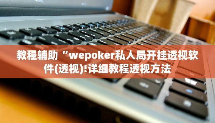 辅助神器“博乐填大坑免费透视软件下载”详细开挂教程
