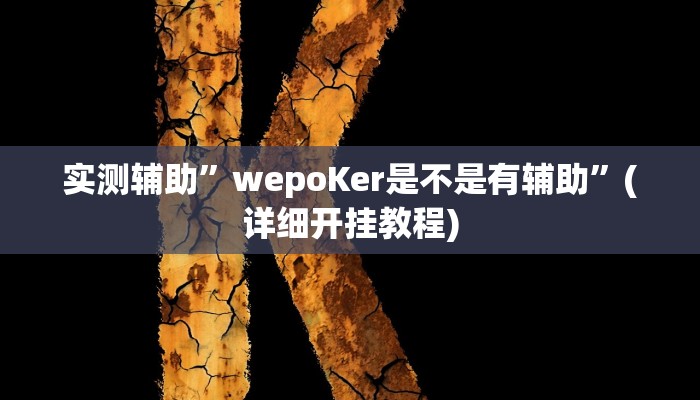 实测辅助”wepoker开挂透视辅助”(详细开挂教程)