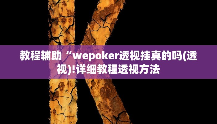 实测辅助”wepoker德州透视挂”(详细开挂教程)