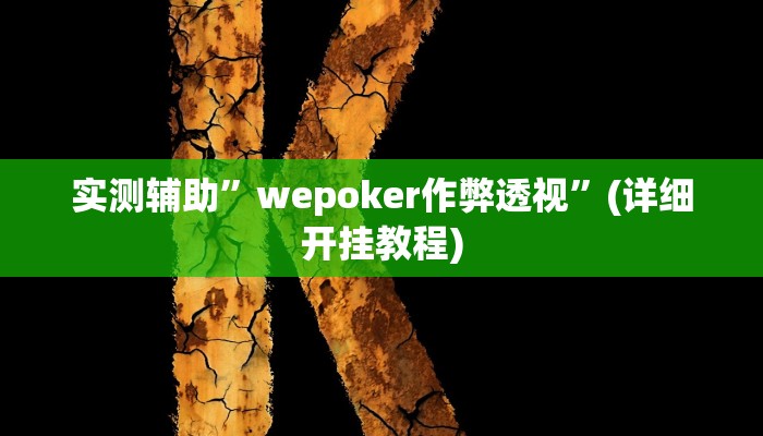 实测辅助”wepoker透视辅助软件挂”(详细开挂教程)
