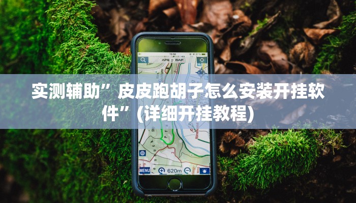 实测辅助”HHpoker辅助挂透视作弊软件”(详细开挂教程)