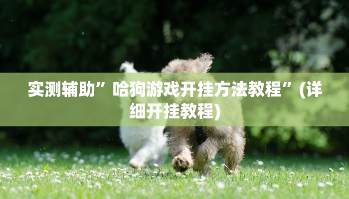 教程辅助“四川游戏家园开挂神器(透视)!详细教程透视方法