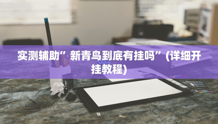 教程辅助“德扑之星透视挂教程(透视)!详细教程透视方法