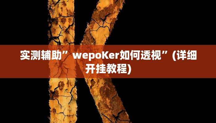 实测辅助”wepoKER德州局透视外挂辅助”(详细开挂教程)