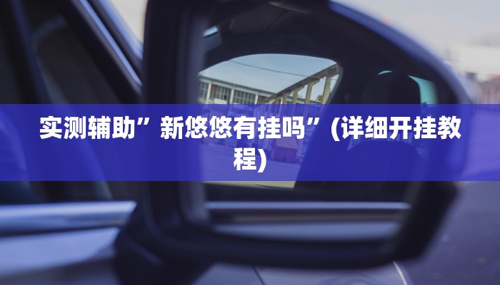 实测辅助”榕城510k开挂方法”(详细开挂教程)
