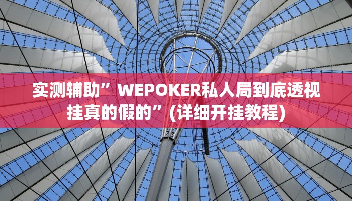 教程辅助“德扑之星透视挂作弊软件(透视)!详细教程透视方法