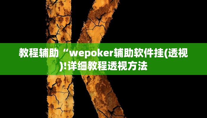 辅助神器“乐酷副厅开挂教程”其实确实有挂